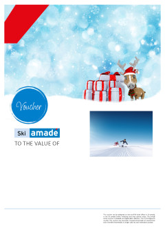 Voucher template 9